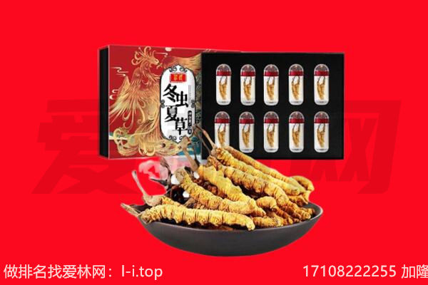 恩施建始县回收虫草.jpg